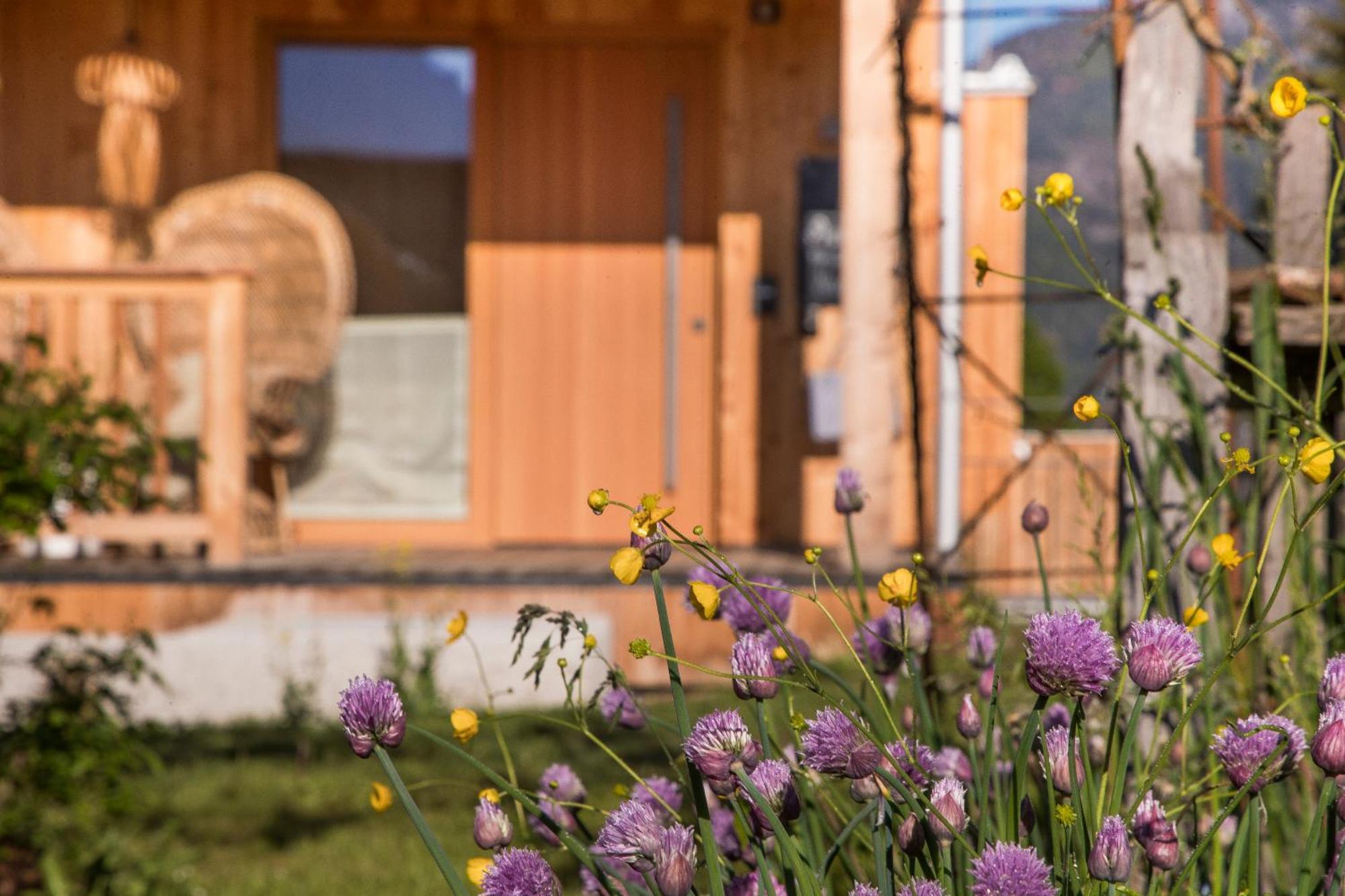Alpegg Chalets Waidring Buitenkant foto